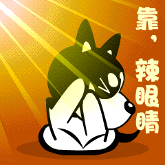 哈士奇微信表情8