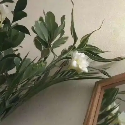 情侣绿色系的头像绿色