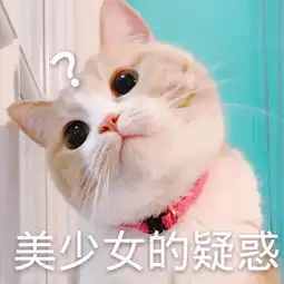 女生头像猫系头像可爱主