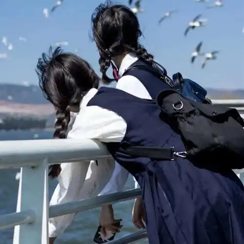 背景图背景杂图分享一波