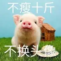 不换头像系列图片大全微信头像图片大全