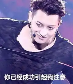 刚出机场的黄子韬就被自己的表情包给围堵了