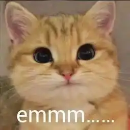 七夕,单身狗忍痛支招,只为不多两只单身狗