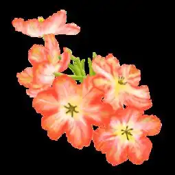 图片免费下载草红花素材草红花模板千图网