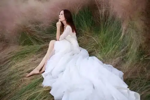 刷爆朋友圈这3片免费的粉色花海,堪比普罗旺斯,简直少女心爆棚