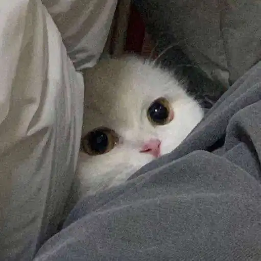 舒服治愈系文案就算星星碎掉了,溢出的光也很好看