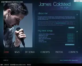 蓝色系英文网站模板源码素材免费下载编号2361643红动网