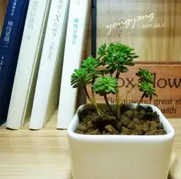 一到春天,就想把家打造成花园搜狐旅游搜狐网