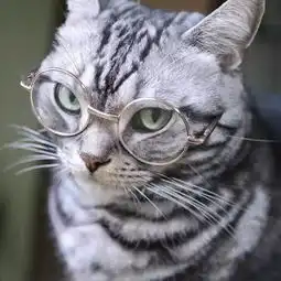 成年人深夜的心酸