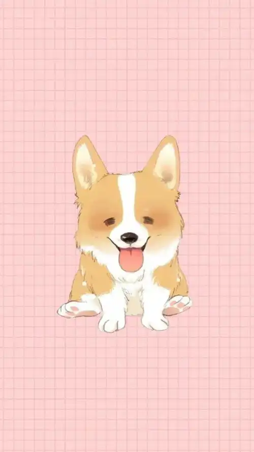 萌宠头像猫咪猪猪柯基头像