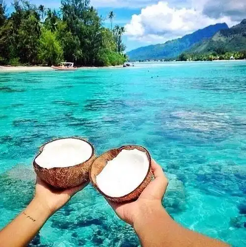 一辈子,啥最重要