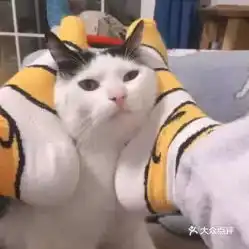 电话,地址,价格,营业时间三亚美食