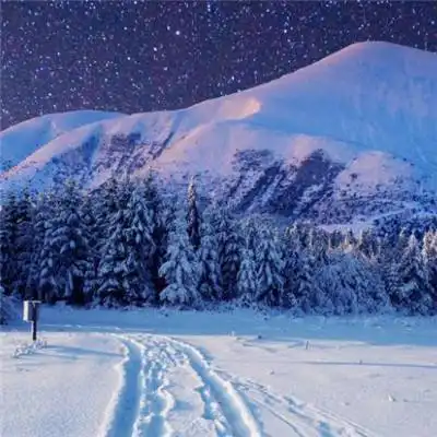 请问斯沃普净水器价格多少