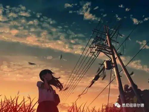 致敬那些年,我们一起走过的青春