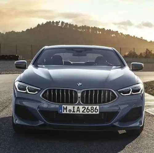 可爱系的头像宝马