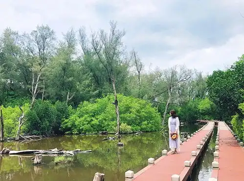 2020台南自然系美景大补帖,放慢脚步走景点