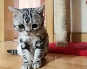 男生小清新头像