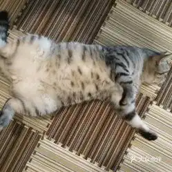 电话,地址,价格,营业时间