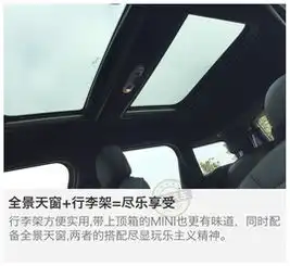 minicountryman图片大全