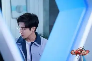 参加各大选秀节目都没红,在全职高手中因高冷禁欲系角色走红