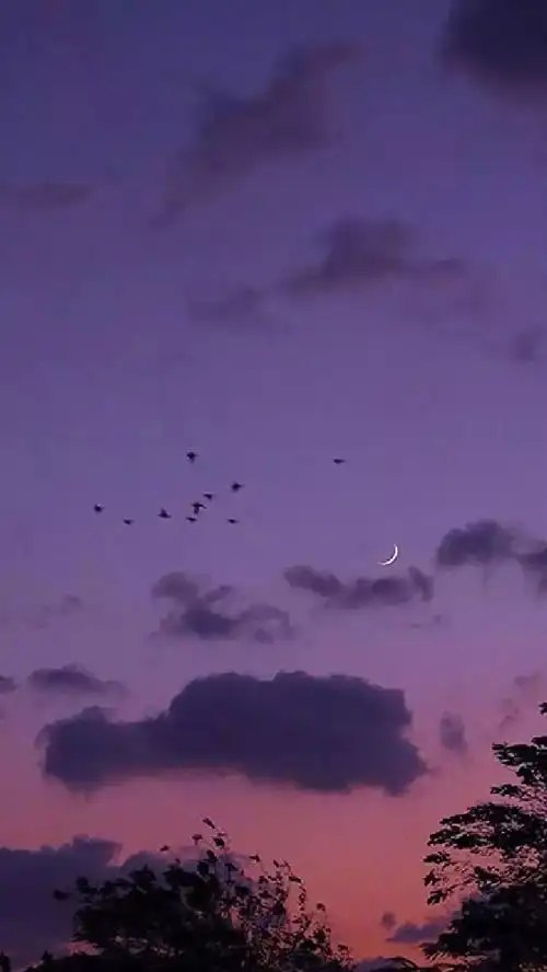 要让人觉得毫不费力,只能背后极其努力