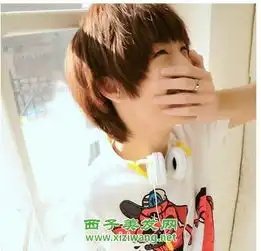 20岁男孩发型设计图片