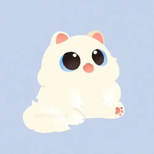 猫咪情头丨小众丨喵