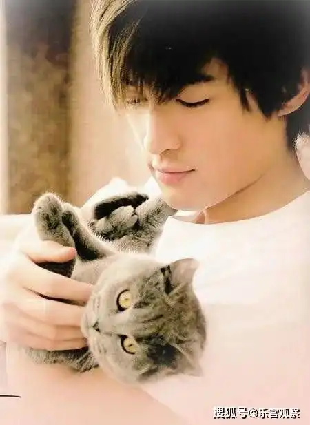 不结婚的人生会很惨吗胡歌费玉清告诉了我们答案