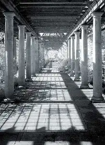 学会用光小技巧逼格提升就一秒上部