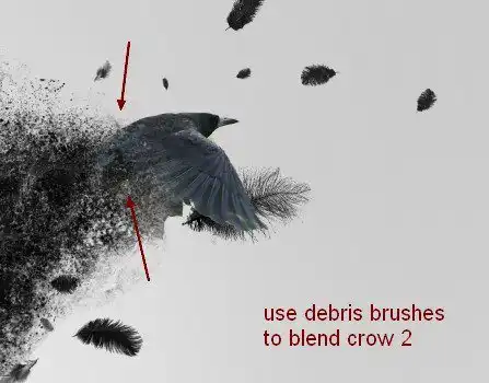 ps教程合成飘散的羽毛美女头像