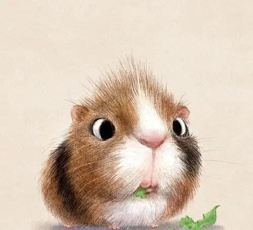 呆萌可爱的小动物插画