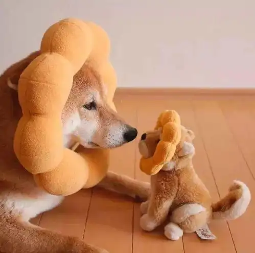 宠物头像幸好我爱笑,生活才没那么糟糕