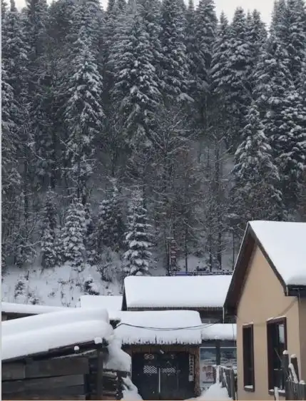 实拍大美中国雪乡,品美食乘驯鹿拉车,宛如童话世界