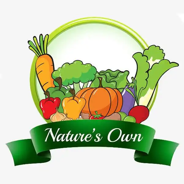 手绘蔬菜之家标志高清素材菜园设计图片免费下载页面网页平面电商创意素材png素材健康素材