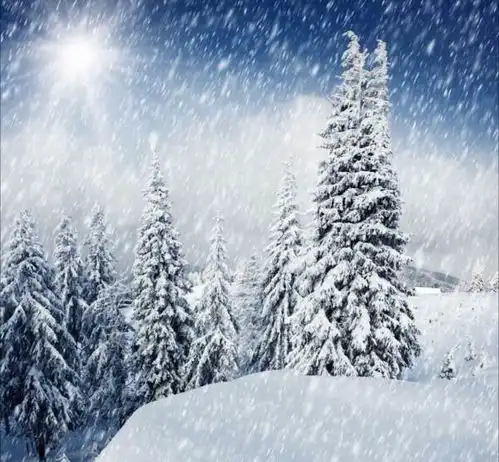 为什么南方人普遍比北方人抗冻