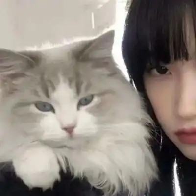 超级惊艳的好看情头大全最新版坏情要拐好几个弯才敢发泄出来