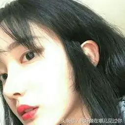 先生,当真未曾心动吗