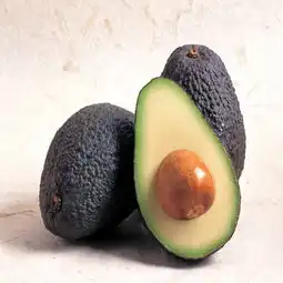 厂家供应101鳄梨提取物提高免疫力降低胆固醇质量保证湖南天下康生物图片,厂家供应101鳄梨提取物提高免疫力降低胆固醇质量保证湖南天下康生物高清图片