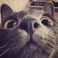 萌娃头像男生搞怪可爱微信头像图片大全