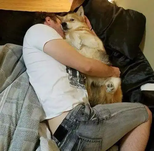 每日一乐你每天都吃啥,怎么这么月半