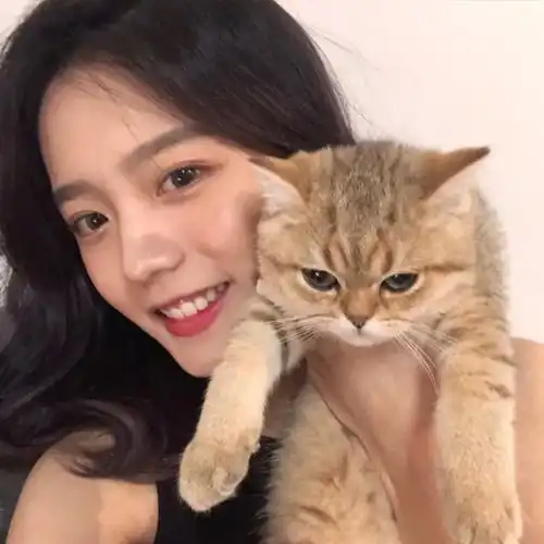 那些温柔的抱猫女生头像,预祝你我有数不尽的鲜花和浪漫