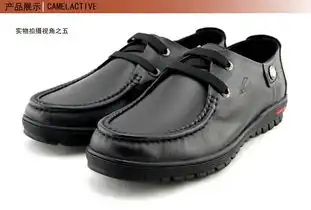 骆驼动感2014新款优雅商务男士系带头层小牛皮舒适透气绅士皮鞋板鞋dd171231706