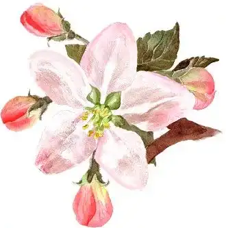 全域旅游在滨湖收下这份游礼指南,把滨湖带回家