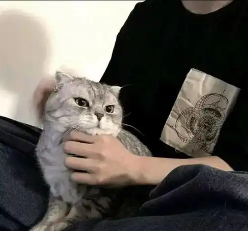 男生头像就这样结束吧反正是我先心动的我会买单.