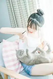 心情不好可能你只是缺了一只猫