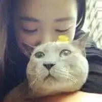 小女孩和猫咪的卡通头像微信头像图片大全