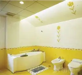 卫生间玩色行动见证神奇变身装