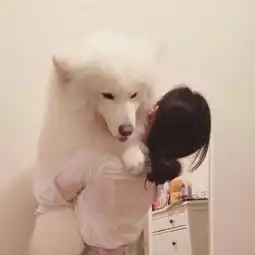 红尘情歌