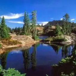 常青树视频直播全集常青树资料大全yy官方