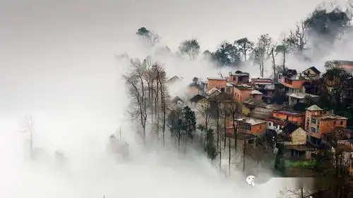 新父母晨诵青年人读小说